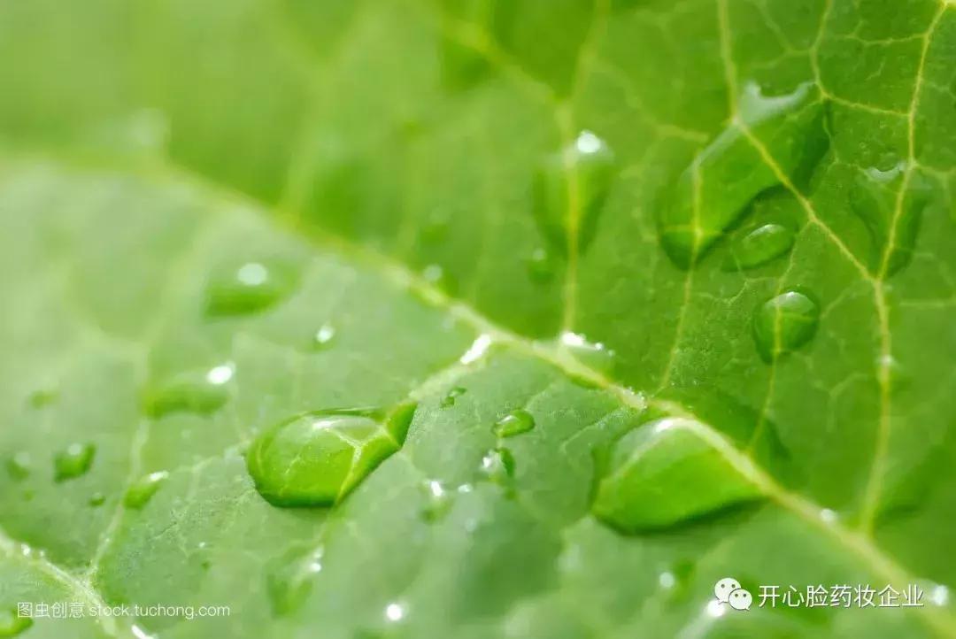 bio皮肤管理,草本皮肤护理