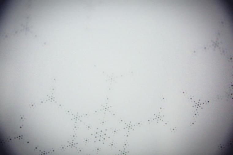 全温区冰箱,统帅415冰箱的简介