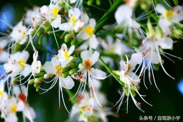 洛阳重渡沟野生动物园,郑州到洛阳重渡沟自驾