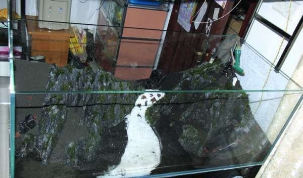 如何布置鱼缸水草造景,峡谷河流鱼缸