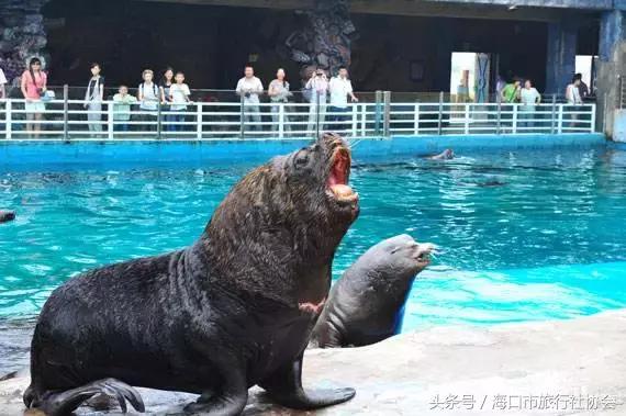 国内外十大好玩的大型游乐场,西安童真童趣游乐场