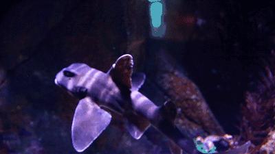 广州户外亲子游玩好去处,广州适合亲子旅游的地方