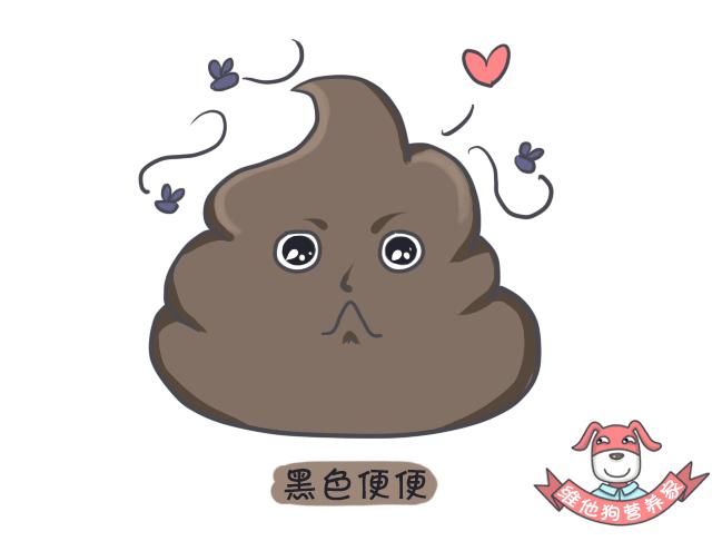 令人困扰的便便儿童科普,关于便便的小知识