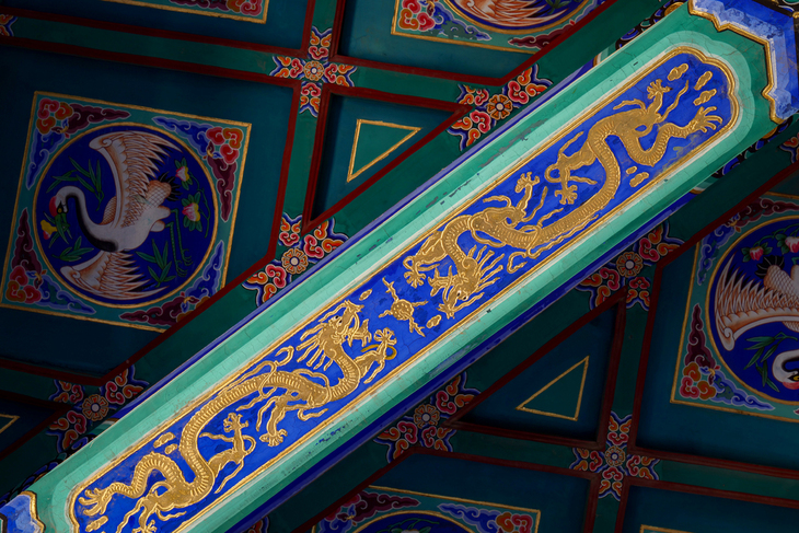 松下g94k连续拍摄,松下g9超慢摄影