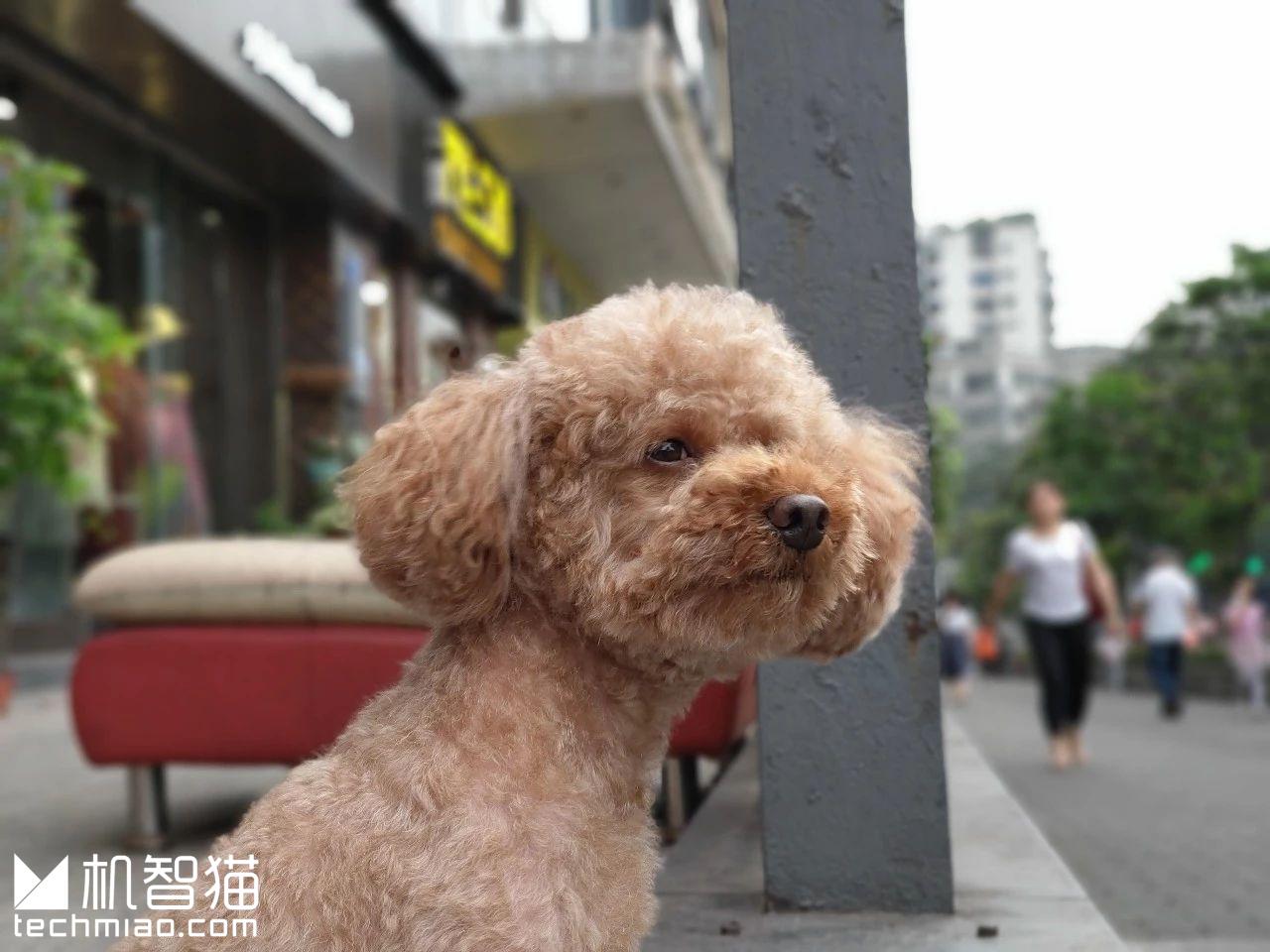 htcu12+与u11+的区别,htcu12+后面有什么