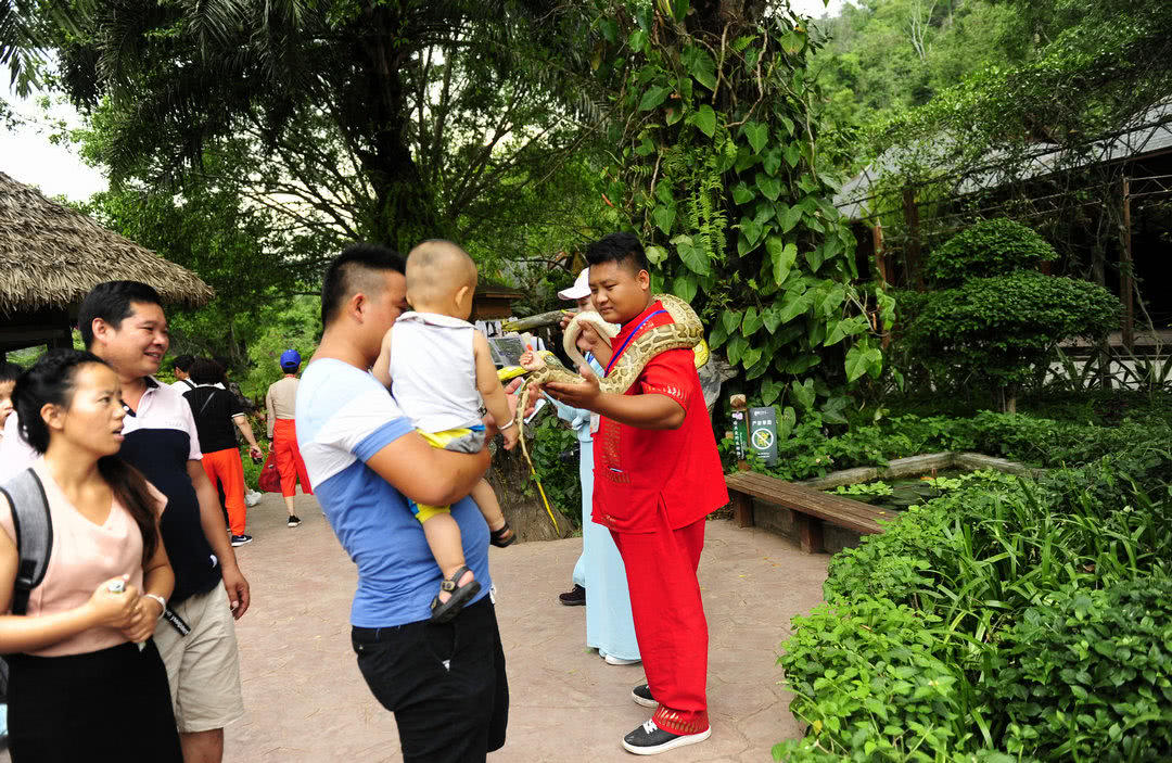 它被誉为“大胃王”，体重达447公斤，一次能吞下大自己10倍动物