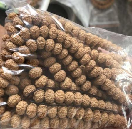 小金刚菩提价格如何判定,小金刚菩提瓣数