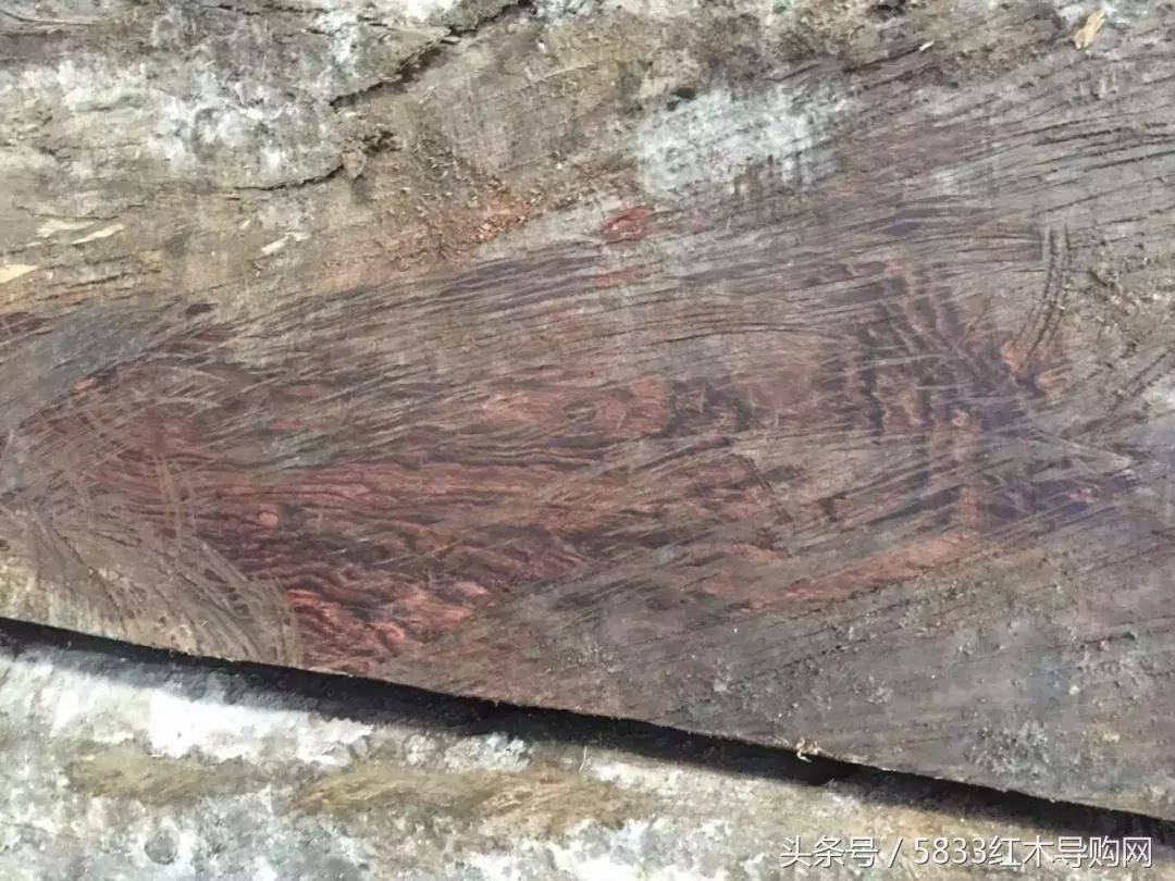 大叶黄花梨伯利兹黄檀好不好,大叶黄花梨和伯利兹黄檀区别