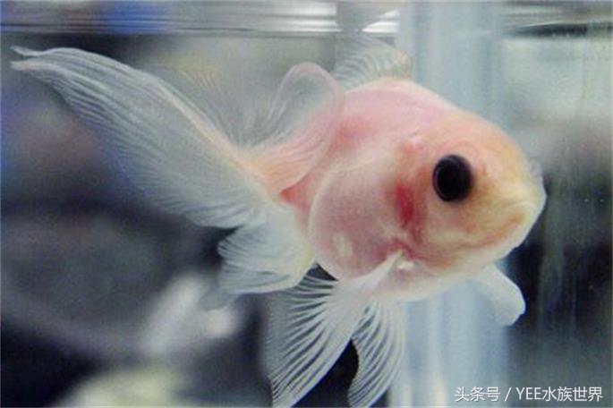 多管下水解决方案,多管齐下才有良效吗