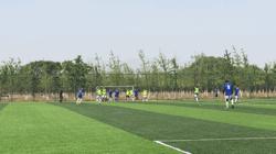 紫禁之巅11集,紫禁之巅决赛完整版