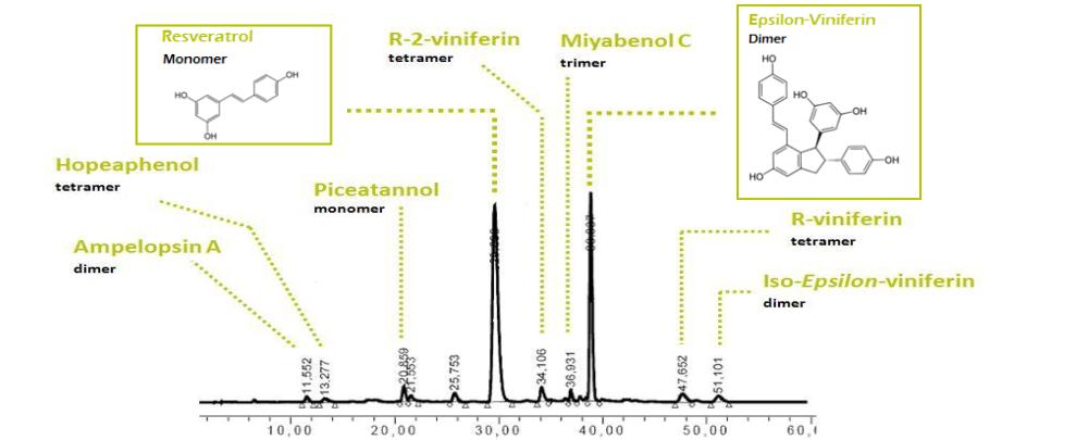 西班牙身体乳sesderma官方旗舰店,西班牙药妆sesderma美白身体乳