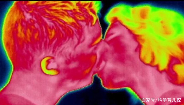 精子的产生全过程,精子从开始到最后的过程