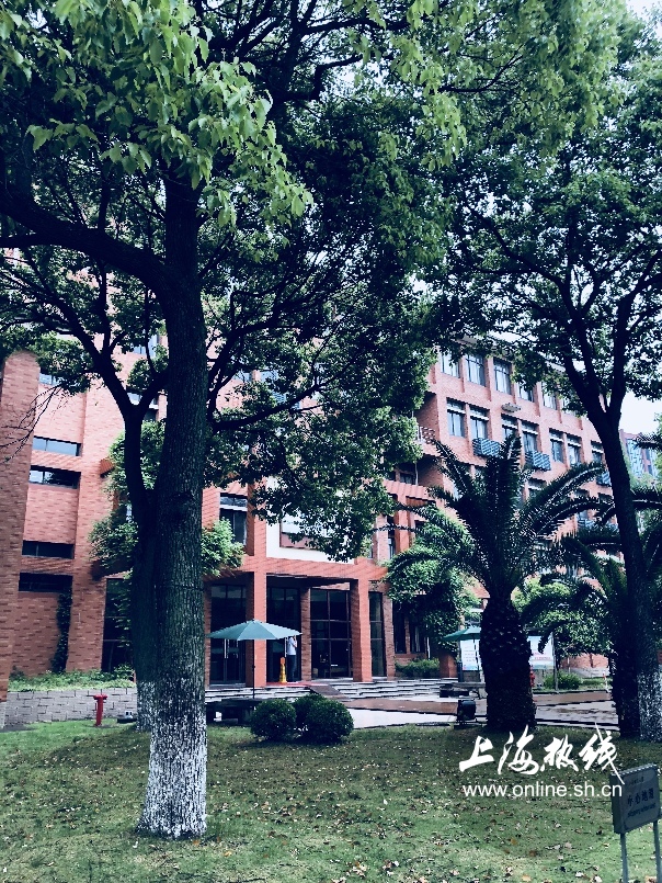 绿树成荫景色宜人清新空气,绿树成荫环境优美空气清新