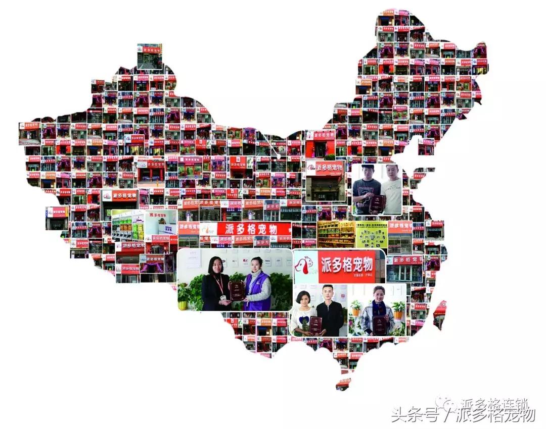 派多格宠物店加盟排行榜,派多格宠物店加盟哪个品牌好