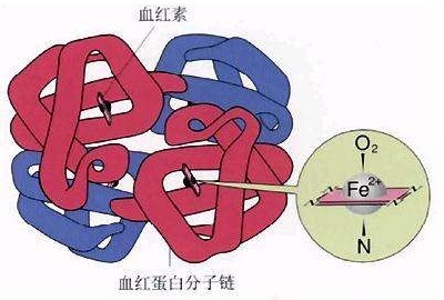 有病没病，看看月经的颜色，请对色入座