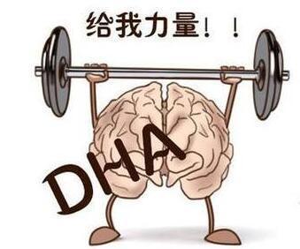 鱼油，藻油，鱼肝油，DHA，EPA，Vd傻傻分不清楚？