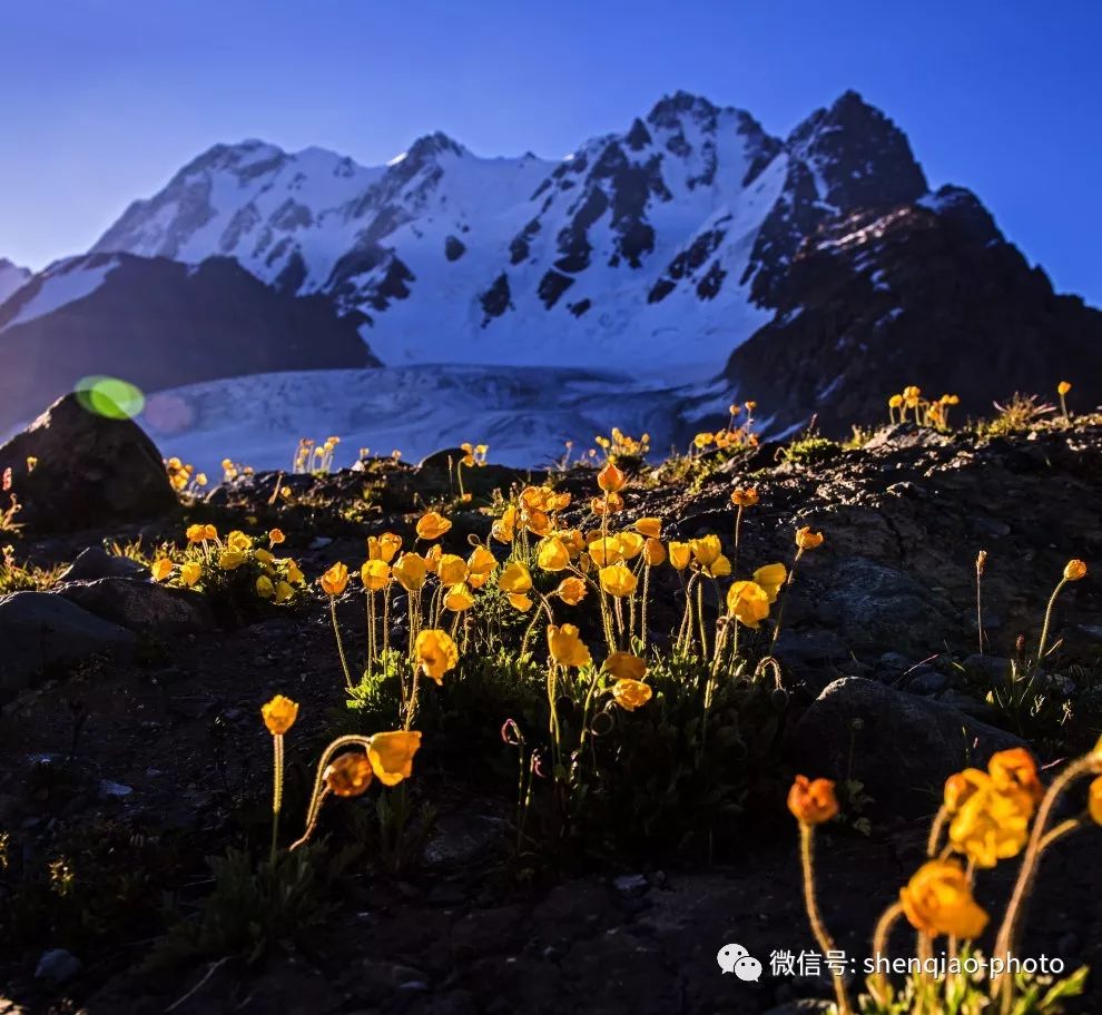 博格达峰的神山是什么,新疆第一神山博格达峰