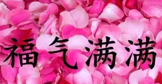 芒种暖心祝福文案,今日芒种的祝福表情动态图
