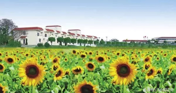 惠东县梁化镇有什么旅游景点,惠州惠东自驾游十大景点推荐