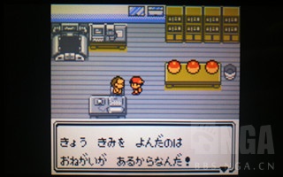 排名前十的精灵宝可梦游戏,精灵宝可梦盘点那些有趣的宝可梦