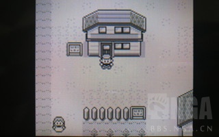 排名前十的精灵宝可梦游戏,精灵宝可梦盘点那些有趣的宝可梦