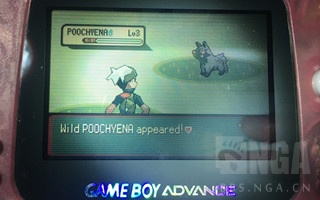 精灵宝可梦游戏可以选世代,精灵宝可梦游戏盘点冰系道馆