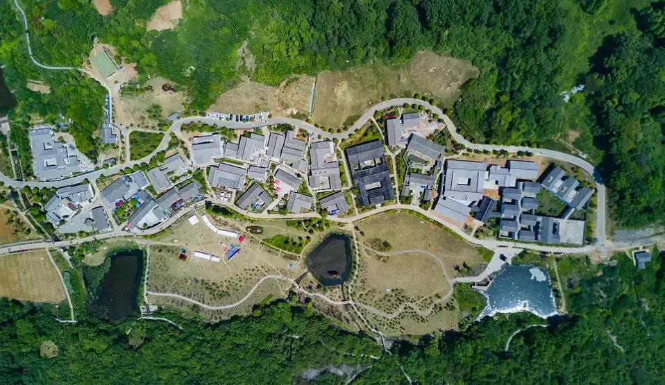 南京不老村，这个画得了插画、种得了花的萌大叔，亲自打造一个家