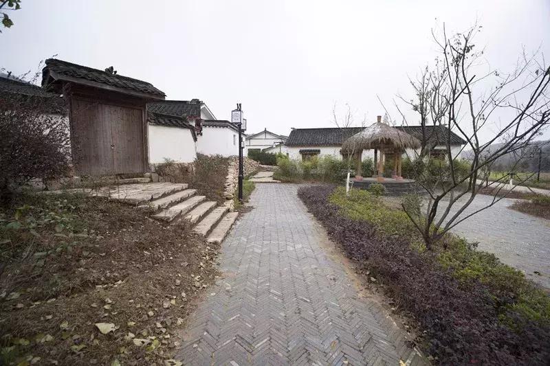 南京20分钟车程外的不老村，咖啡屋、书吧、酒吧，周末度假好去处