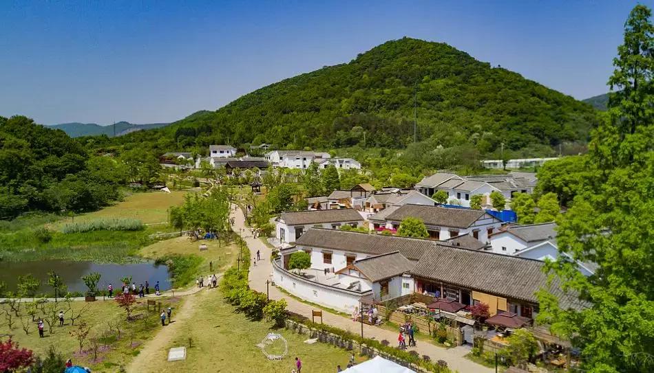 南京不老村，这个画得了插画、种得了花的萌大叔，亲自打造一个家