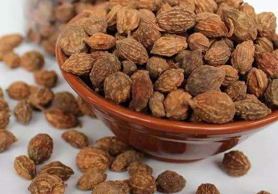 十大最经典的补肾中药,十大最好的补肾中药