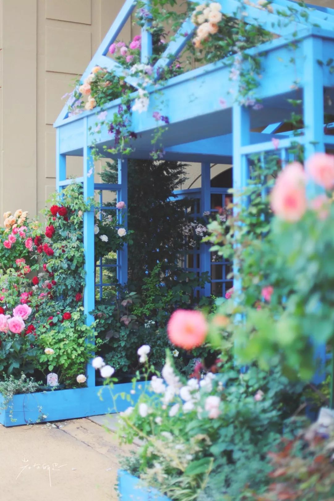 五天四晚适合去哪玩,适合五天四夜清静的旅行