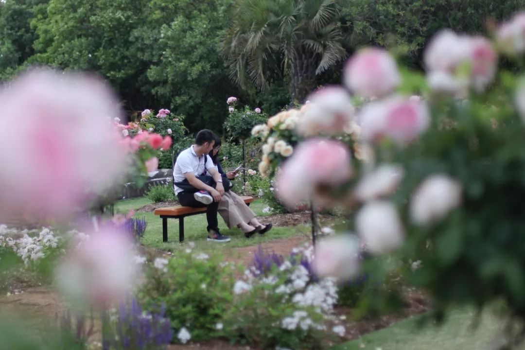 日本的这个地方，很少有中国游客，超级文艺治愈系！