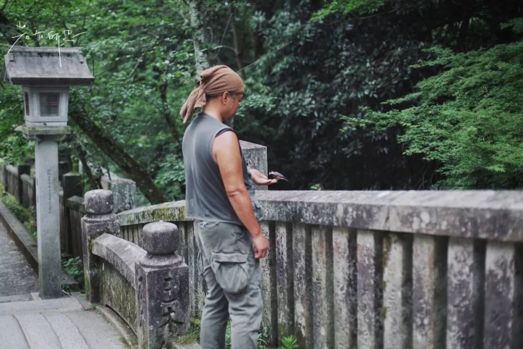 日本的哪个地方中国人不能去,日本什么地方很多中国人