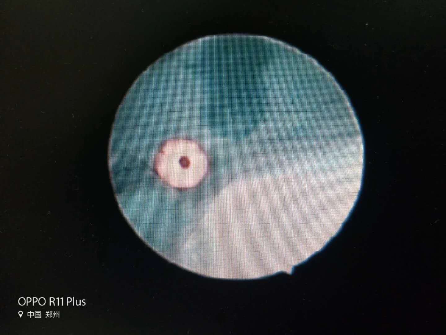 女孩好奇心重,女童好奇贪玩