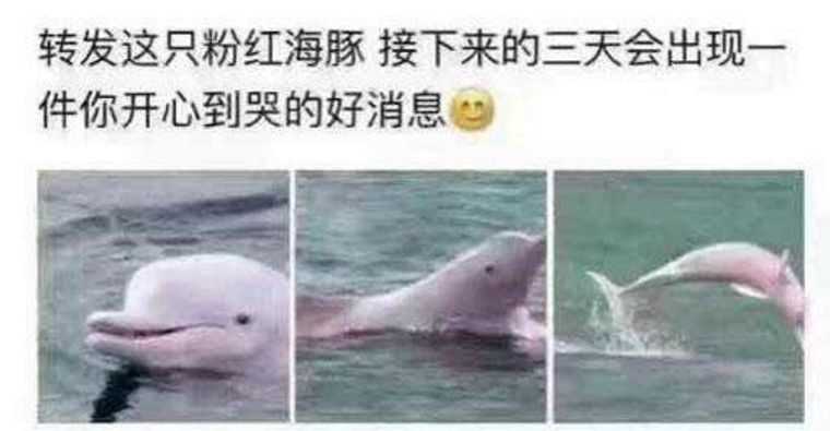 小龙虾为什么不灭绝,和大家讲一个可怕的故事