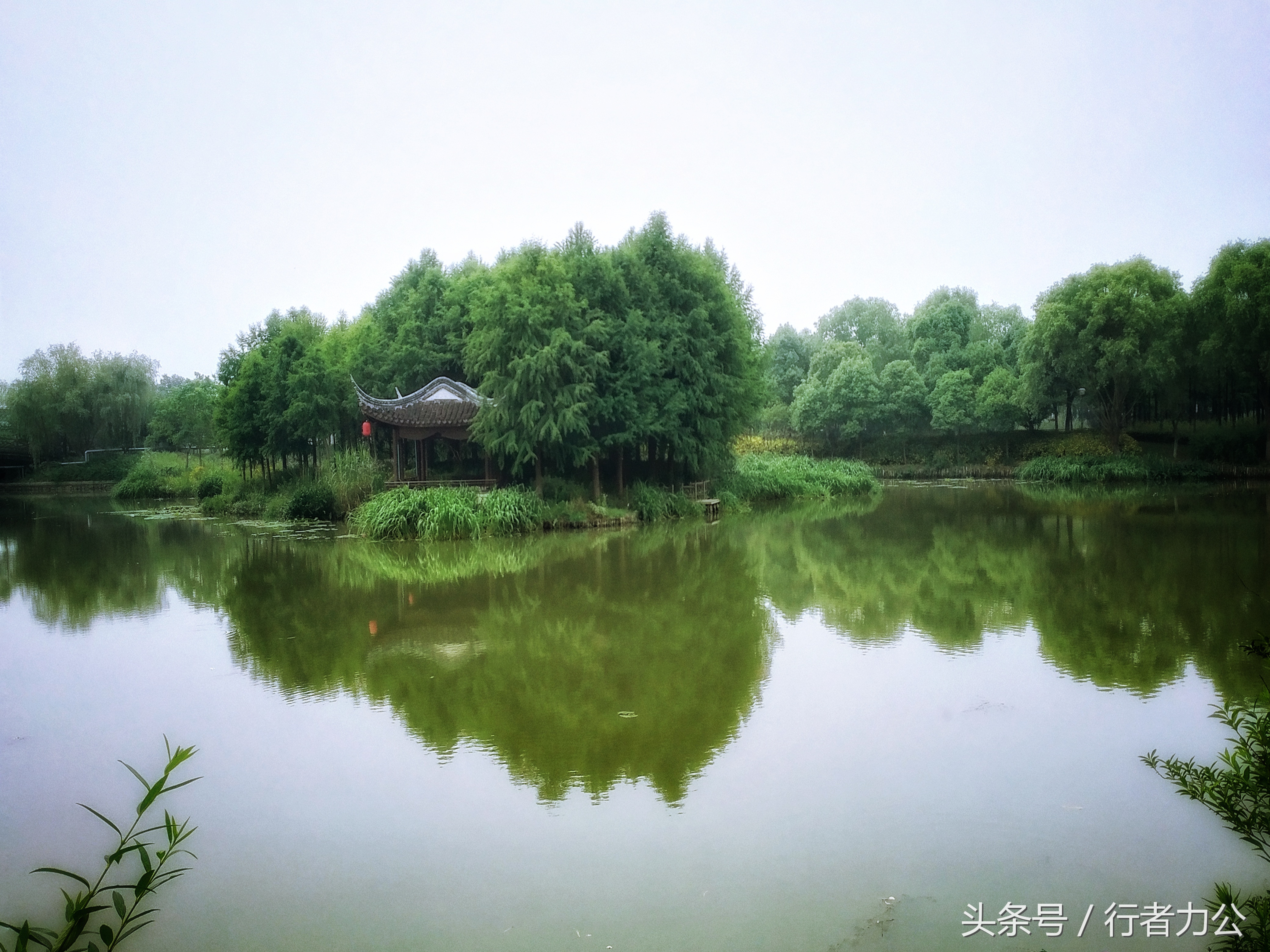 尚贤河湿地公园攻略,尚贤河湿地景点