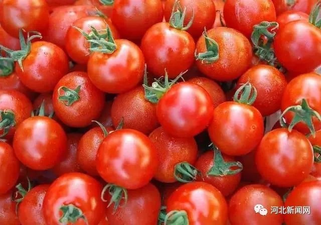 茄子不能竖着吃,茄子不要老是炒着吃