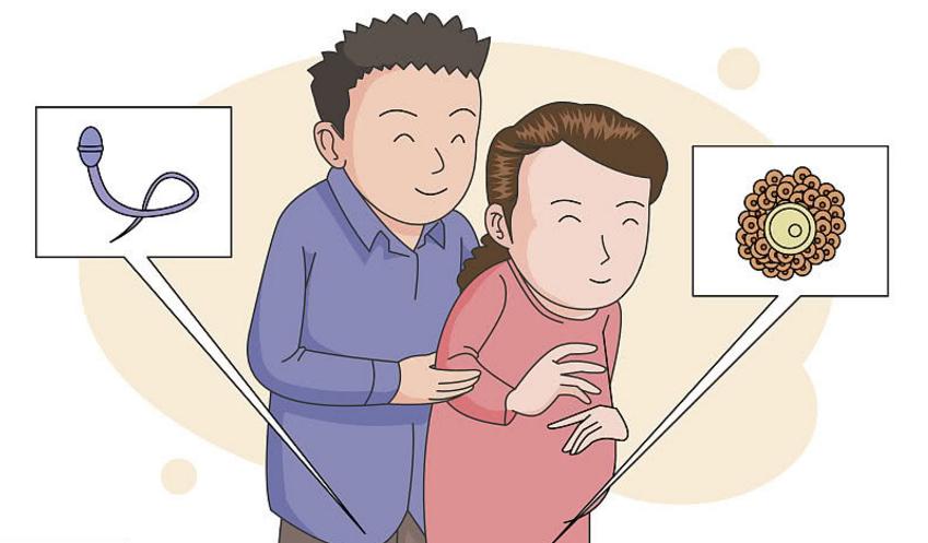 受精卵着床成功需要几天？当身体出现这3种症状时，你就偷着乐吧