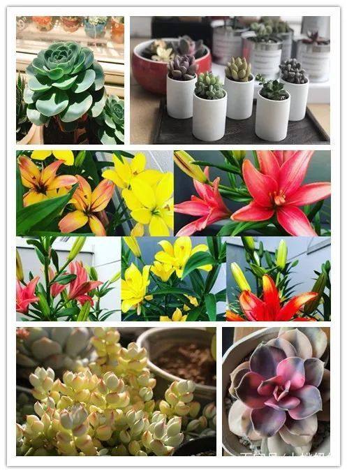 试管婴儿痛苦吗做多久就能成功,现在做试管婴儿痛苦么