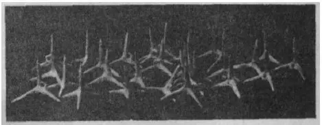 盗墓界最怕什么东西,盗墓最怕哪种怪物