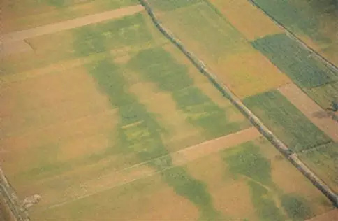 盗墓最怕的四种东西,盗墓最怕什么机关