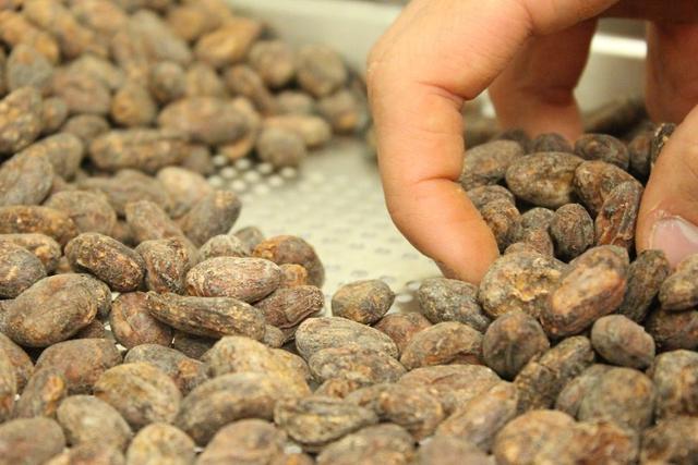 美味巧克力做法,美味巧克力派制作方法