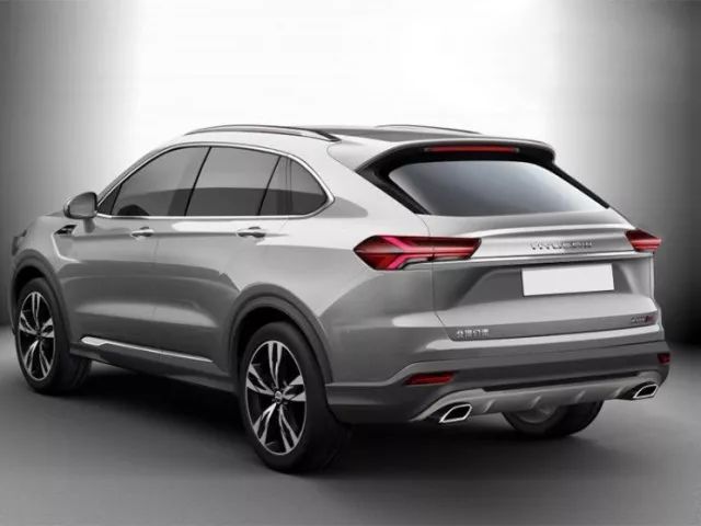 只要20万！“*博兰**基尼SUV”开回家，全村人都围观！