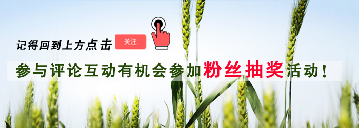 野生冬虫夏草美食,冬虫夏草野生土特产