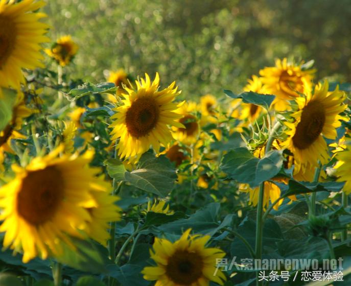 谈恋爱正确的方法都有哪些,谈恋爱的技巧有哪些