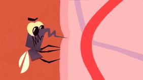 驱蚊产品属于农药吗,驱蚊剂里有农药吗有害吗