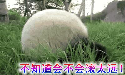 给我滚——骂出幽默的搞笑动图文字表情包