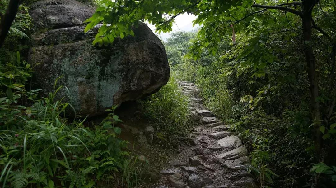 十大最美古道,2018中国十大古道评选