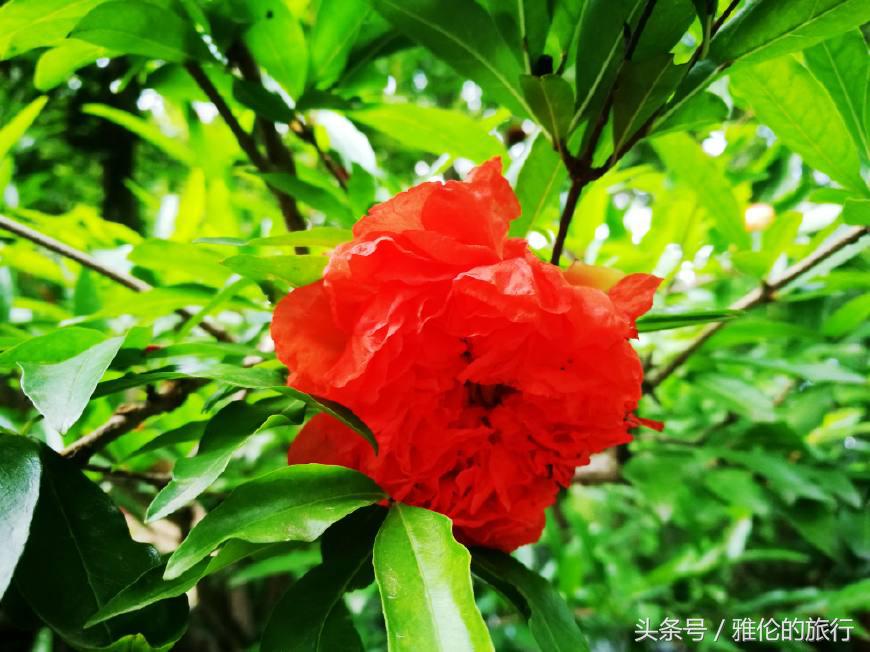 合肥逍遥津始建于哪年,古老的合肥逍遥津