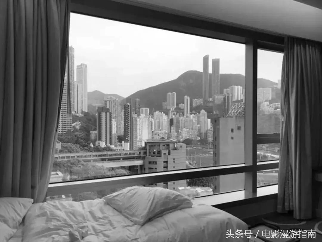 有姑娘出20w让我去香港找条狗，绑匪说：要30w——我Tony还亏了6W